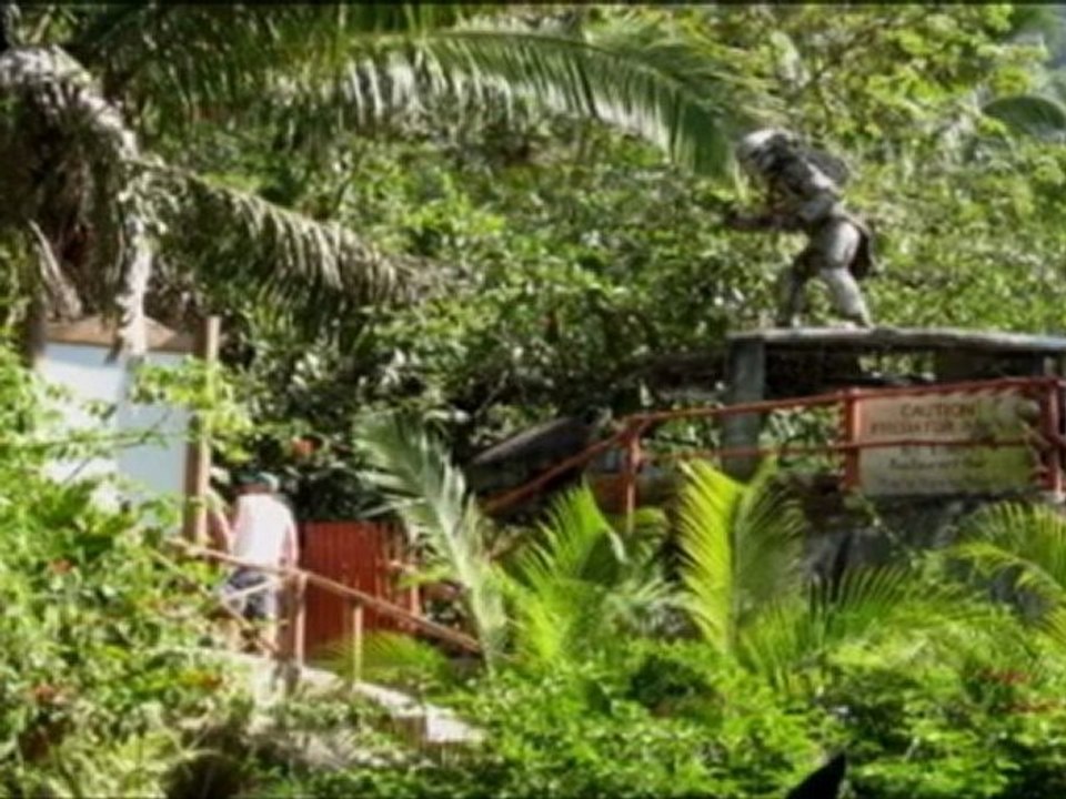 This is Puerto Vallarta by PromovisionPV