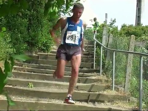 Landes et Bruyères 2011