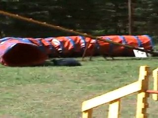 "Zuikelio taurė" - LinaxGuči2