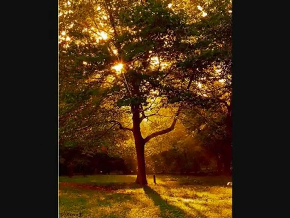 Ahmet selim Basladigi Gibi Bitsin 0001