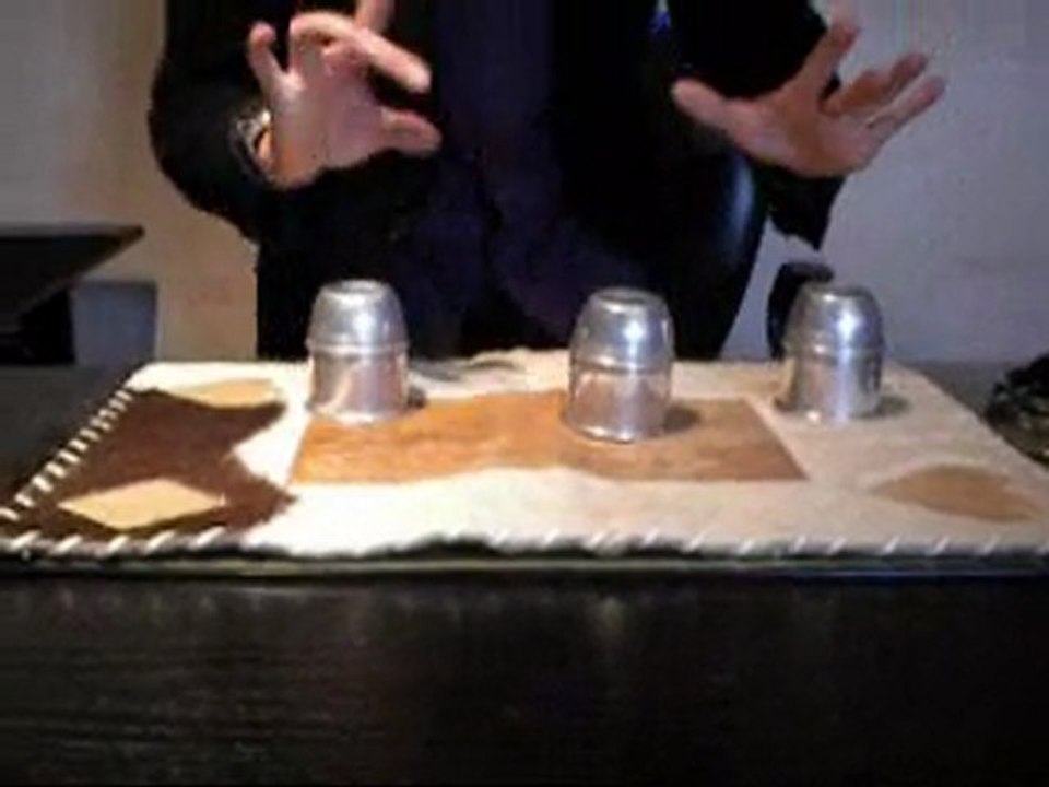 Chriswilson et ses  GOBELETS 2010