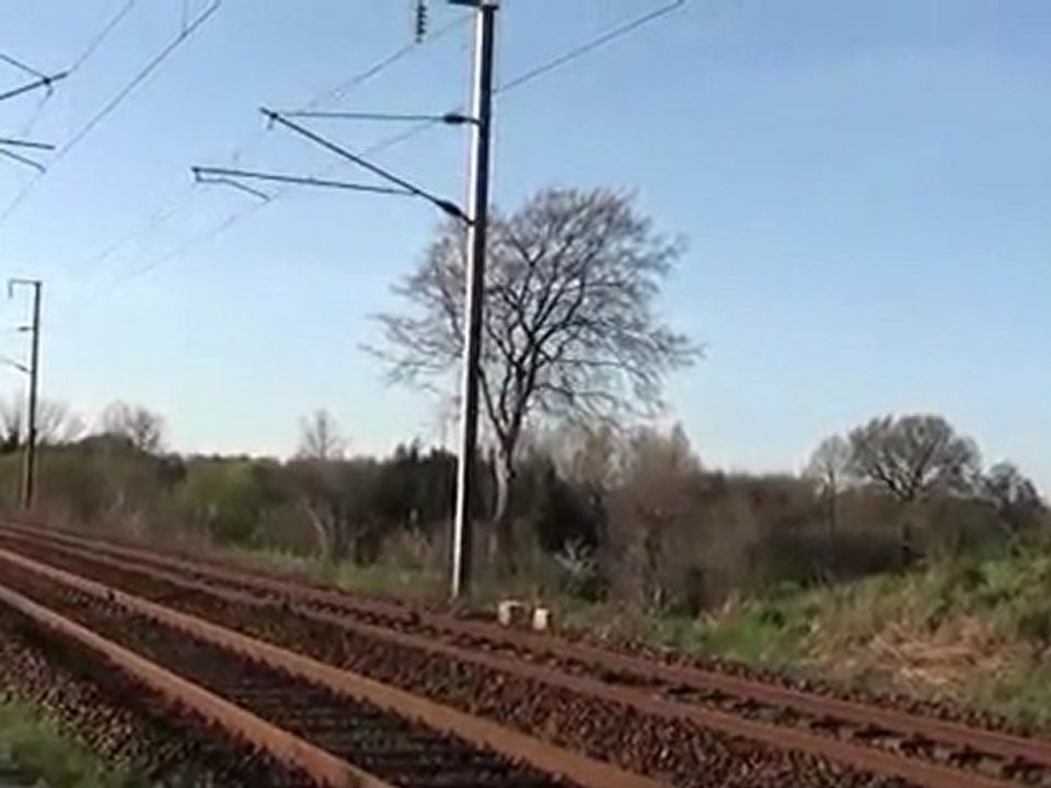 Ter