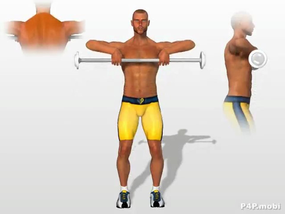 exericices Musculation trapèzes dos