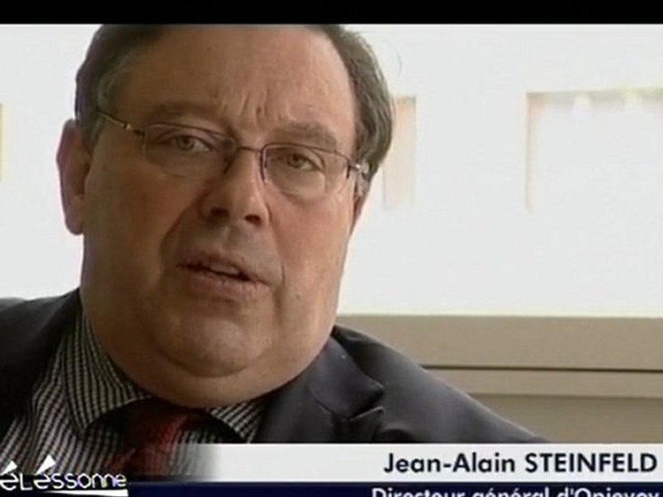 Les pigeons font la loi à la Grande Borne! (Grigny