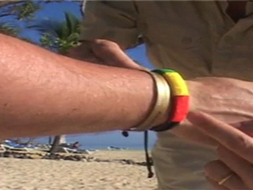 Les couleurs Rasta expliquées par Brice Depasse