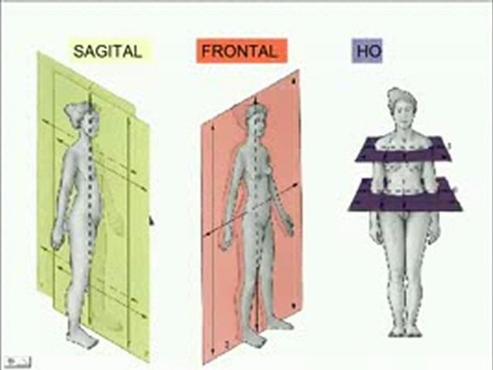 Anatomia espacial