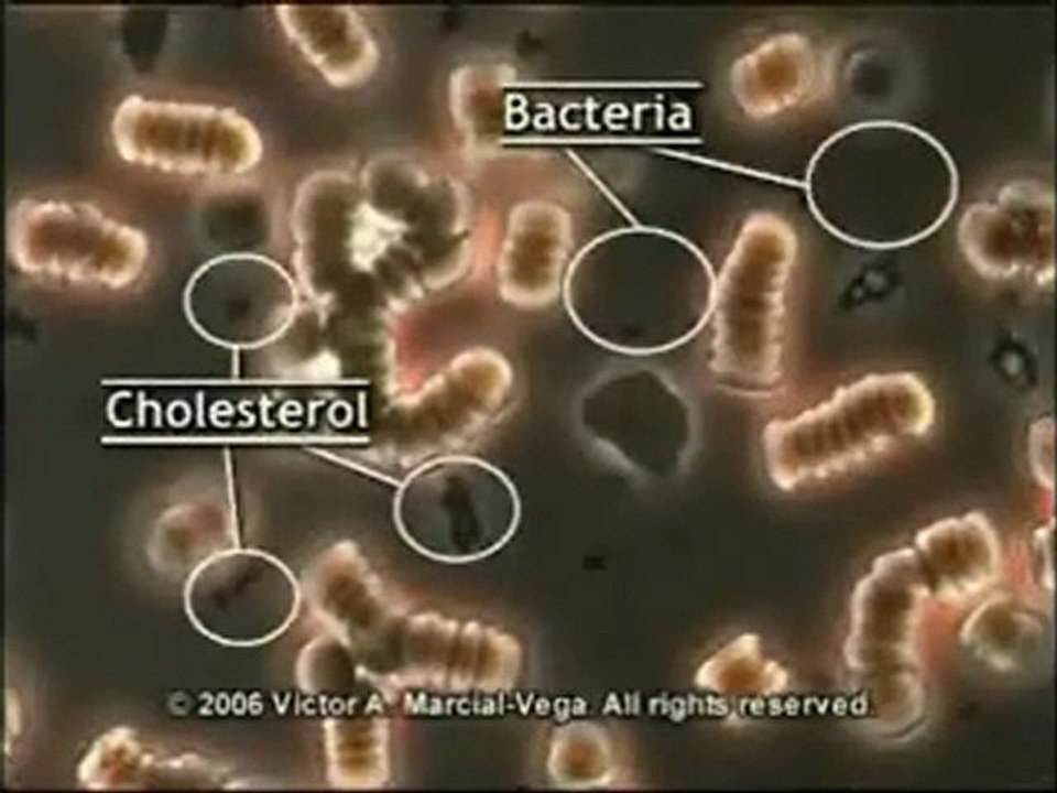 Before and After Taking Goji berry Juice