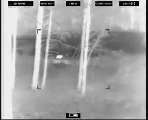 Thermal Hog Hunting - 3 www.avyaban.com - ergo