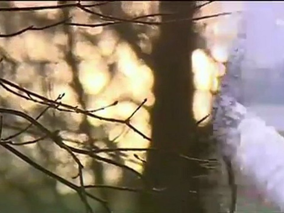 Mara Kayser - Wenn der Himmel sich teilt