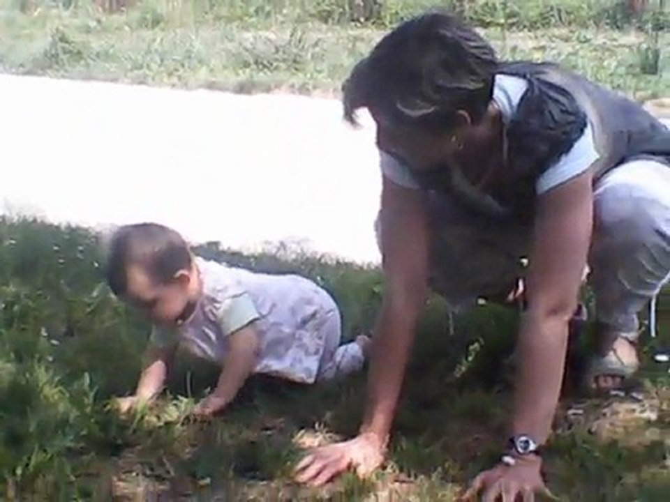 Petit crapahut dans l'herbe