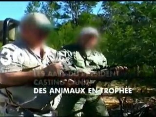 Sommaire emission 30 millions d'amis 8 05 2011