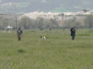 Kütahya Tavşanlı Mera Yarışması