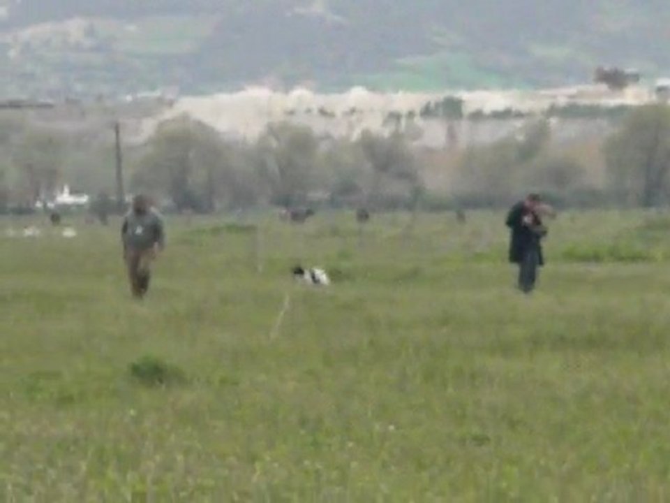 Kütahya Tavşanlı Mera Yarışması