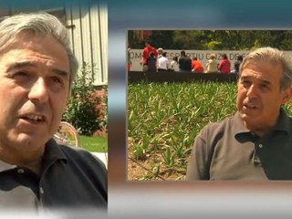 Psc Enric llorca_web