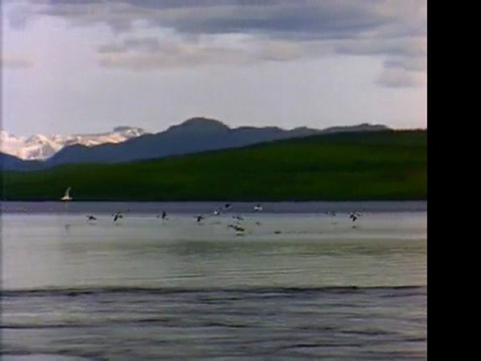 copie (2) de Lake.wmv