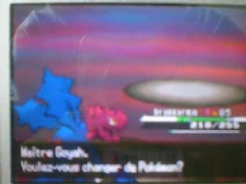 Ligue Pokémon Noire-Blanche Maître (Goya)