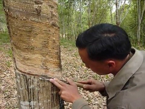 Laos: les cultivateurs de pavot cherchent de nouveaux revenus