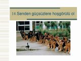 Mutlu Olmak İstiyorsan- Barış Manço-Gelinlik Kızların Dansı