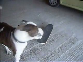 chouchou clicker & skateboard