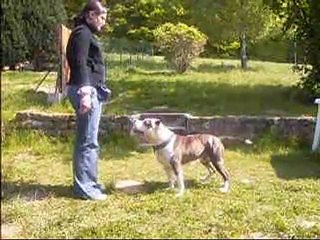 chouchou propositions clicker