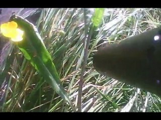 paintball du 1 mai 2011 partie 3