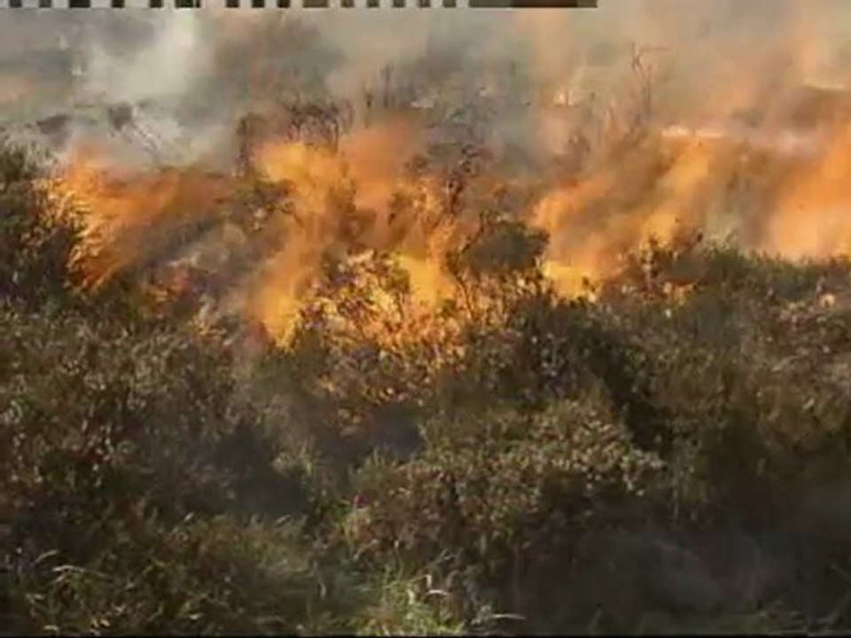 Strong winds stoke wildfires