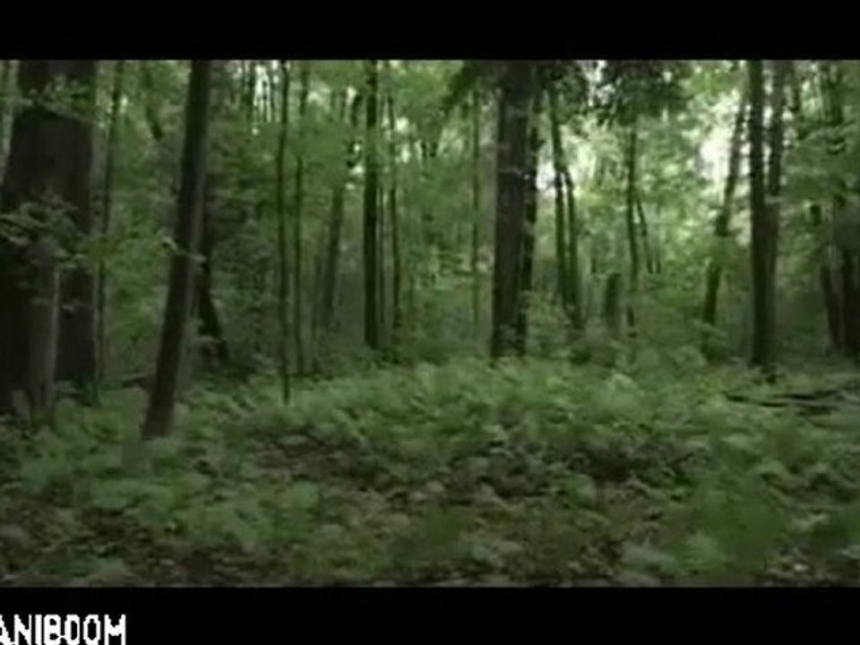 Drops (Fairy Stories) by Alex Uvarov