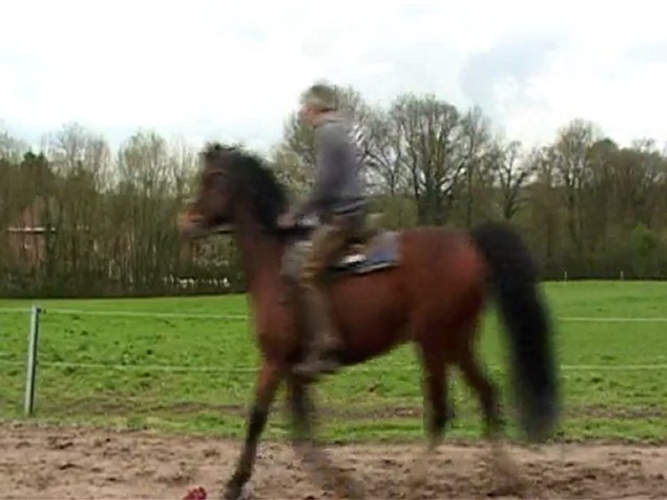 Portrait Pierre le chuchoteur