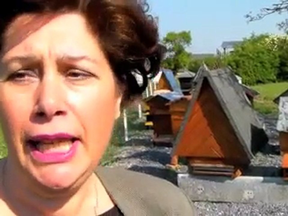 Un super musée de l'abeille