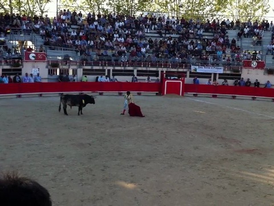 Faena Fandino St Martin de Crau 2011