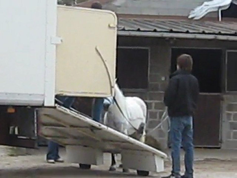 Galopin qui monte pour la 1ère fois dans le camion - 2009