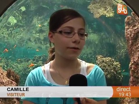 Tournage insolite au Mare Nostrum (Montpellier)