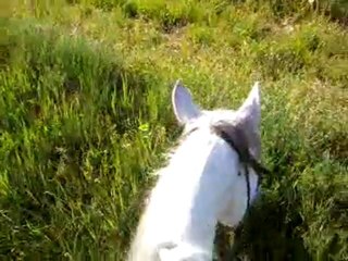 Première ballade de Miss toute seule.