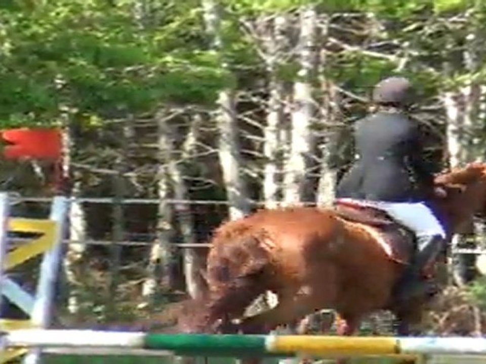 concours CSO ligny-le-ribault 30/04/11