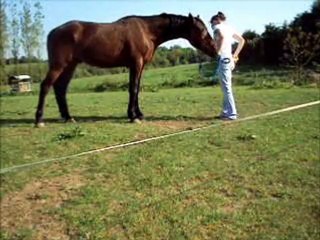 Timamour : jambette reculé reverence