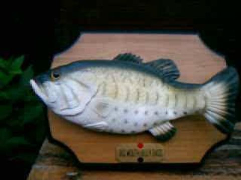 voici billy le big mouth bass ^^