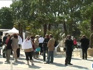 L'opération "Palmes de la liberte" devant Notre-Dame fait la promotion de la liberté religieuse