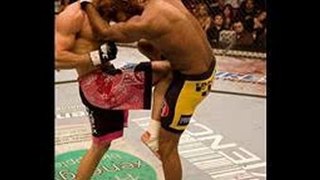 Thiago Alves vs. Rick Story fight video