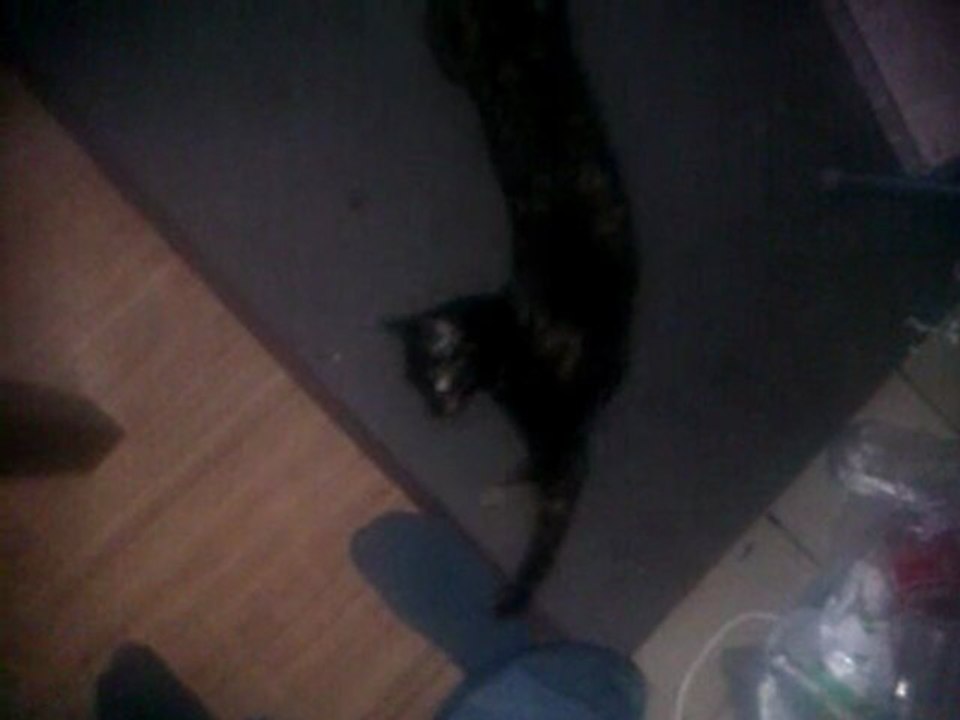 Linas 2ans, pète un cable !