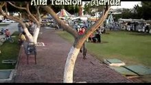 Parkour Mexicano 2006