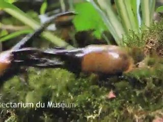 Spot Citadelle de Besançon
