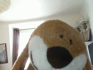 Wiwi muppetshowise "concerto pour une jeune fille nommée je t'aime"