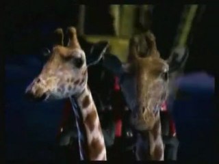 Jeroen Mol - Bellewaerde