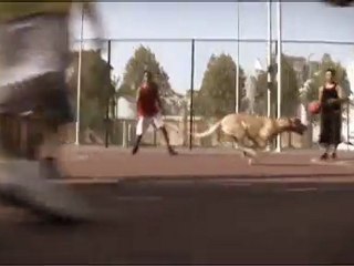 Jeroen Mol - Chevrolet