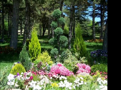 Zeki Müren-Lingo Lingo Şişeler