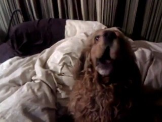 What said wwe hall of famer Hawksaw Jim Duggan