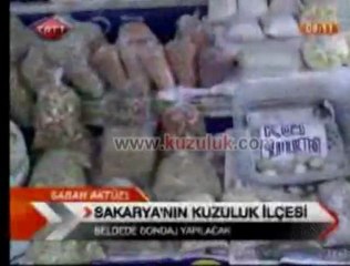 TRT 1  Kuzuluk'u Tanıttı Kuzuluk Haber www.kuzuluk.com