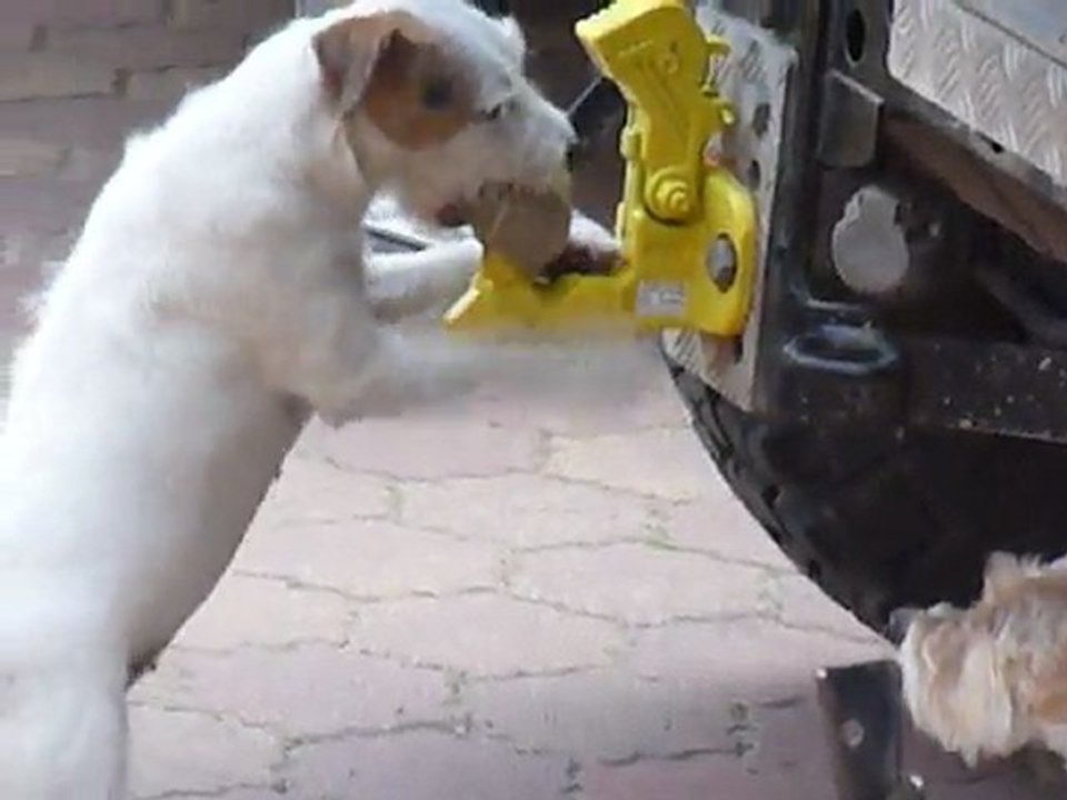 Caly veut prendre la protection de l'attache remorque !!!