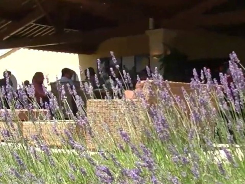 Le Domaine Gayda à Brugairolles: Cave, Restaurant Gastronomique, Gîtes, Soirées Jazz, Mariages :