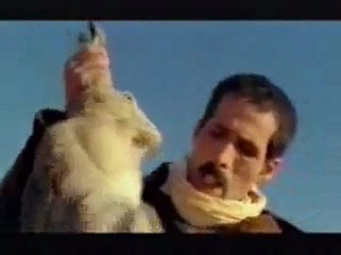 Tazı İle Tavşan Avı